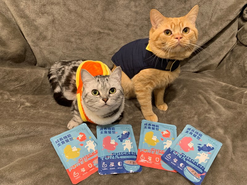 女人知己試用大隊,口碑行銷,部落客行銷,自然食 成長機能主食餐包,自然食,成長機能狗狗主食餐包,成長機能貓咪主食餐包,滿足毛孩最單純的幸福,人食等級食材,開封即食,綿密的肉泥狀質地,好吸收,無膠類,無色素,無防腐劑的添,維持腸道健康,添加DHA/靈芝多醣體,使用高優質蛋白,適口性佳,狗狗口味,犬用營養火雞,犬用嫩雞牛肉,貓咪口味,貓用營養嫩雞,貓用嫩雞鮪魚